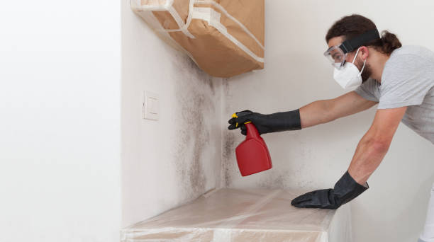 Professional Black Mold Removal technician working in Schooleys Mountain, NJ